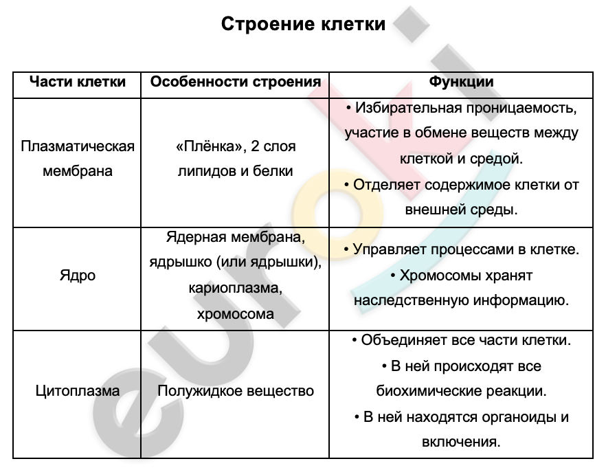 Таблицa по биологии 8 класс Строение клетки