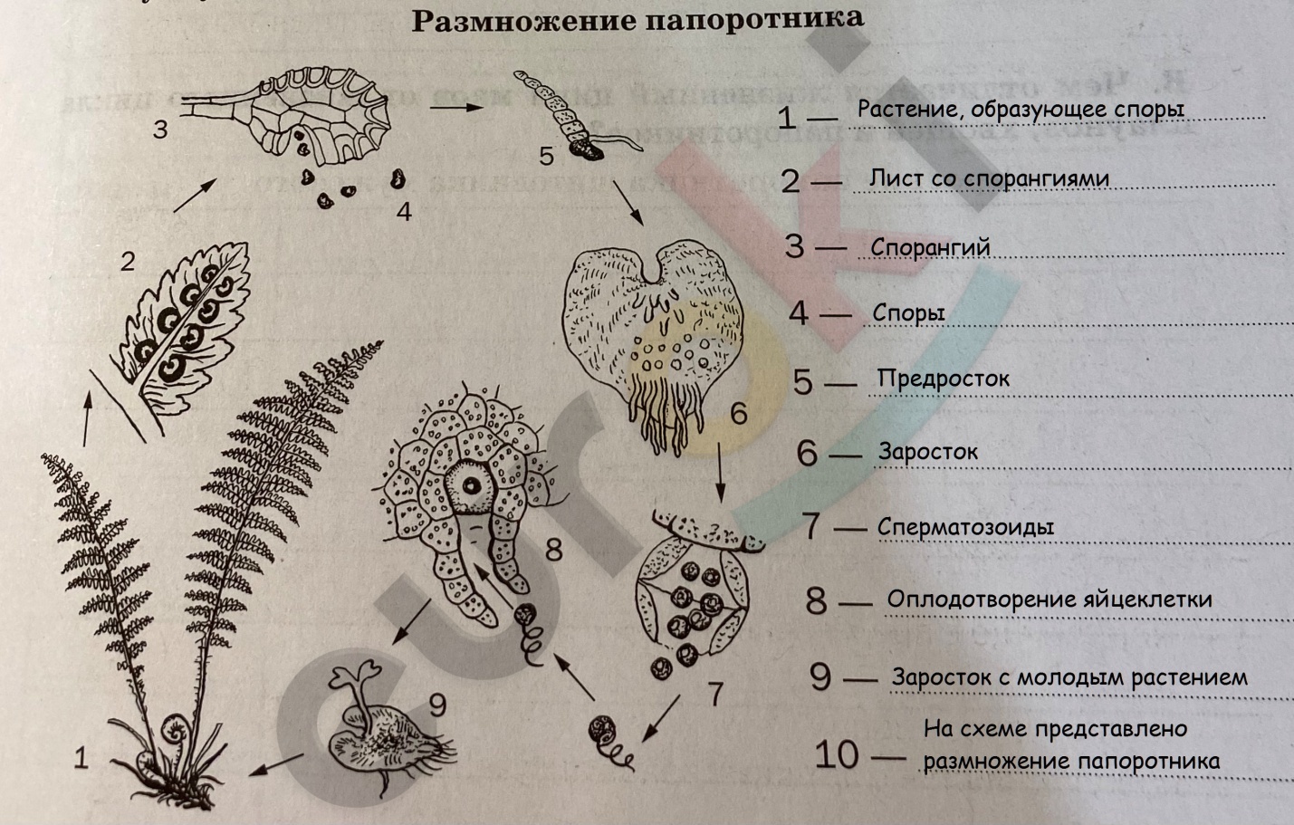 19.1.jpg