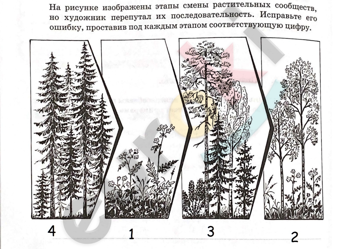 Скан_Страница_15.jpg