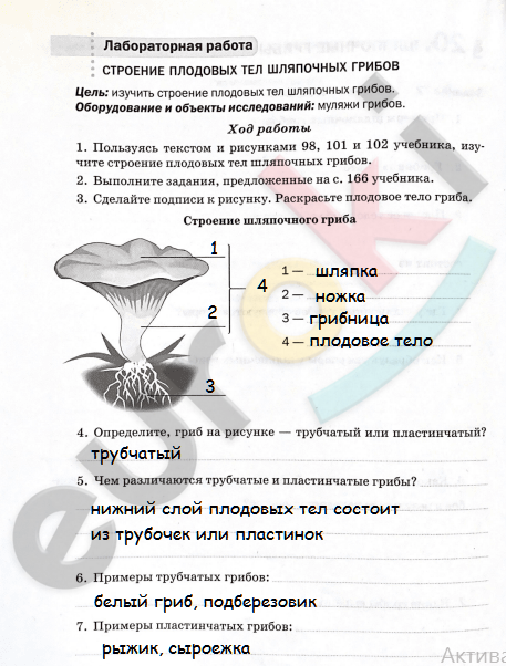 76_рт.png