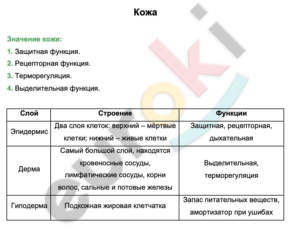 Функции кожи таблица 8 класс биология. Таблица моя кожа. Болезни кожи таблица 8 класс.