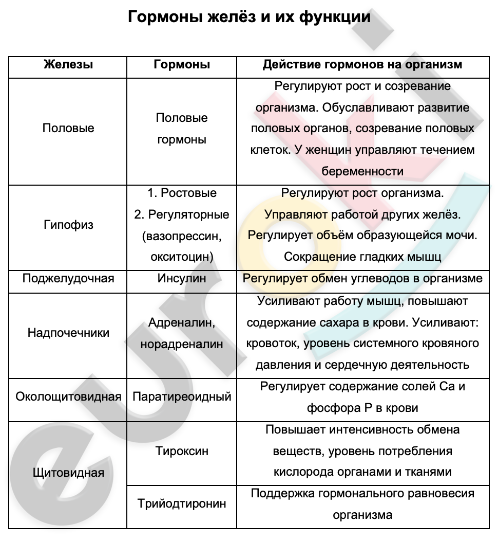 Функции гормонов 8 класс