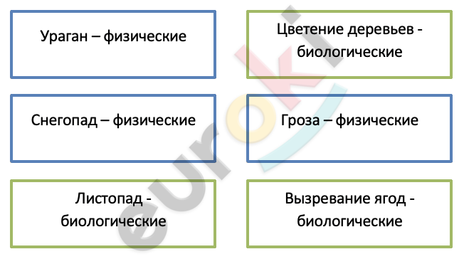 Diagram Description automatically generated