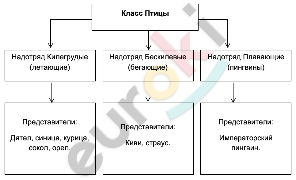 Diagram Description automatically generated