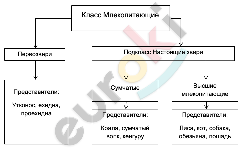 Diagram, schematic Description automatically generated