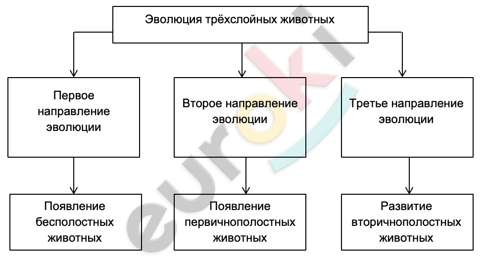 Diagram Description automatically generated