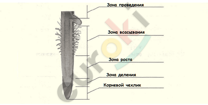 стр14.png