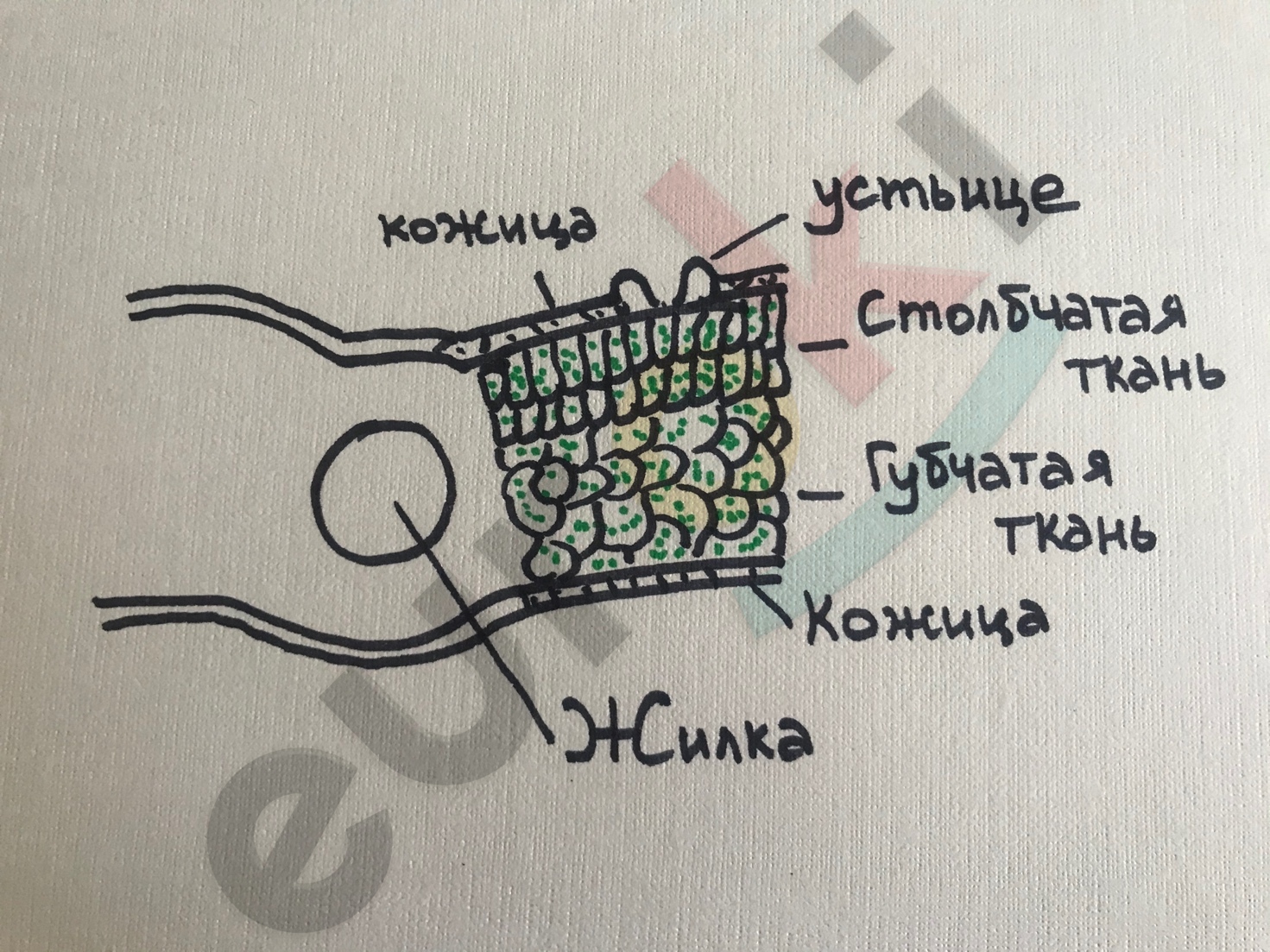 Diagram Description automatically generated