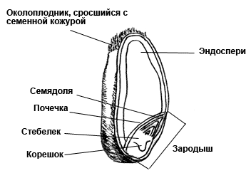 http://www.autonomiaspb.ru/qbeqsesw/9524