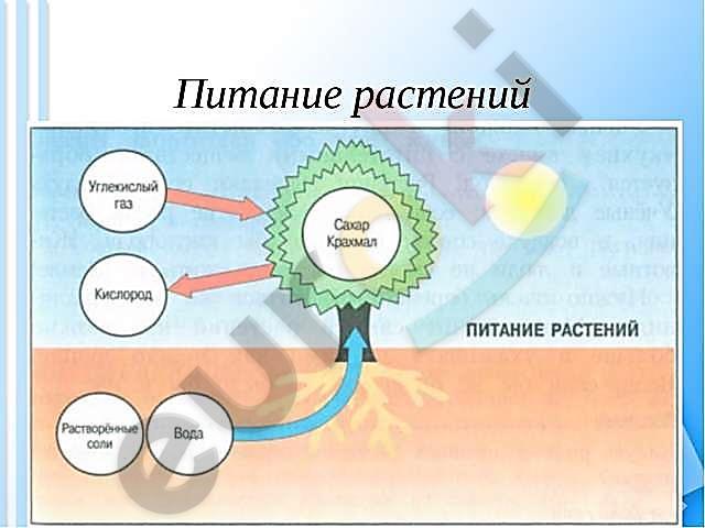 https://fs00.infourok.ru/images/doc/112/132379/640/img16.jpg