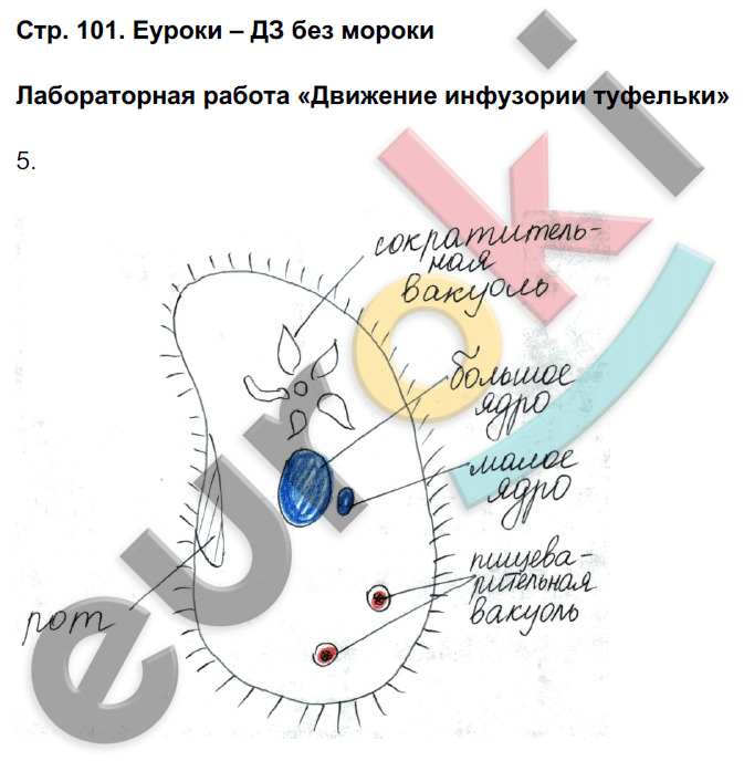 https://www.euroki.org/books/gdzs/4101/1591666.png