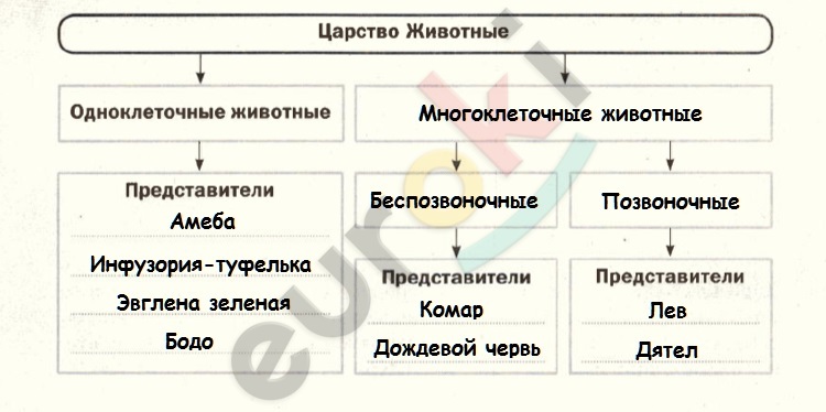 задание 54, страница 45.jpg