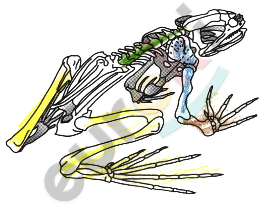 Diagram Description automatically generated