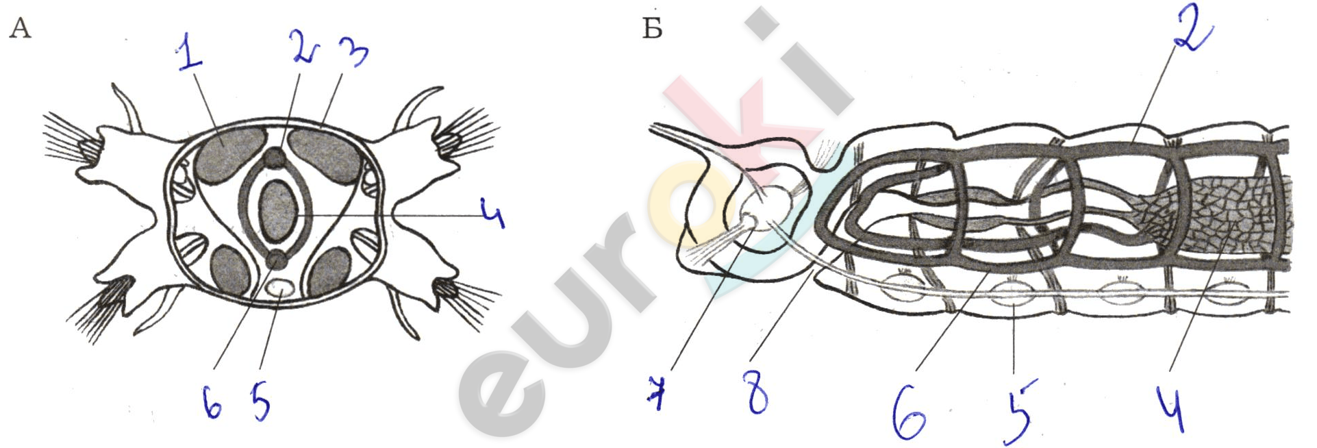 Diagram, engineering drawing Description automatically generated