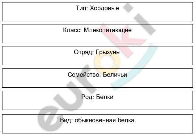 Биология 7 класс рабочая тетрадь тихонова