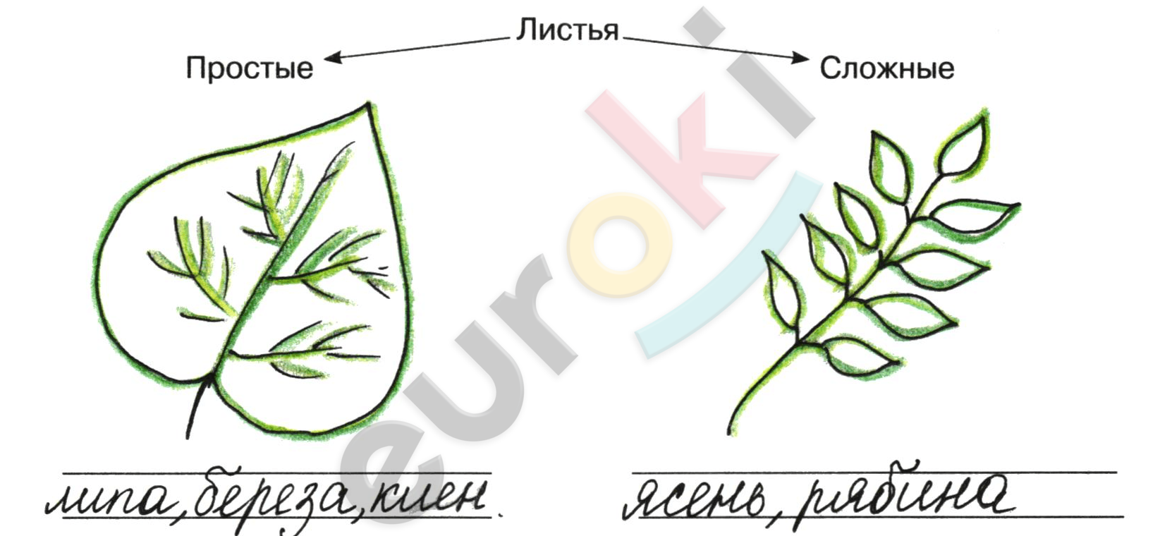 Diagram Description automatically generated