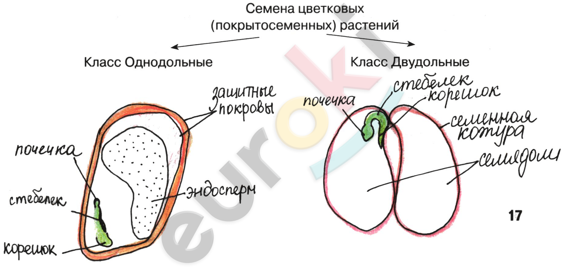 Diagram Description automatically generated