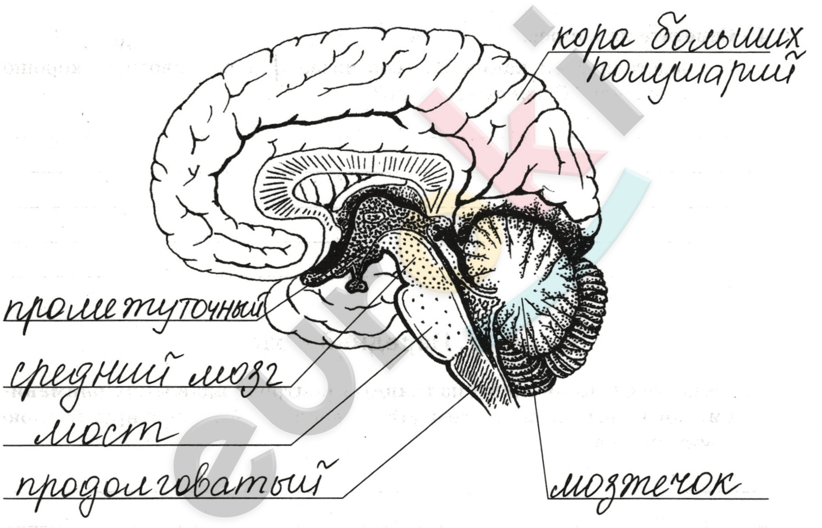 Diagram Description automatically generated