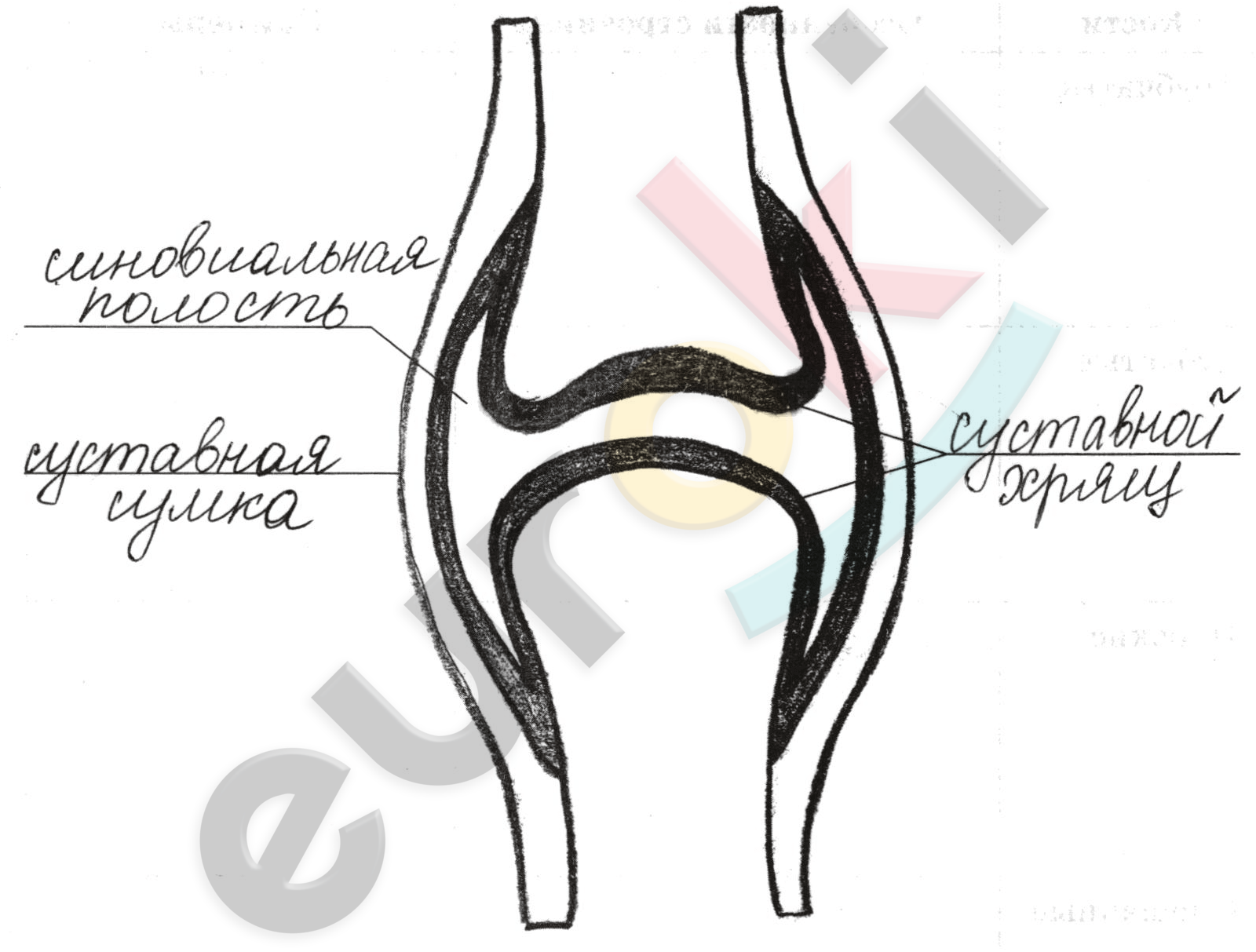 Diagram Description automatically generated