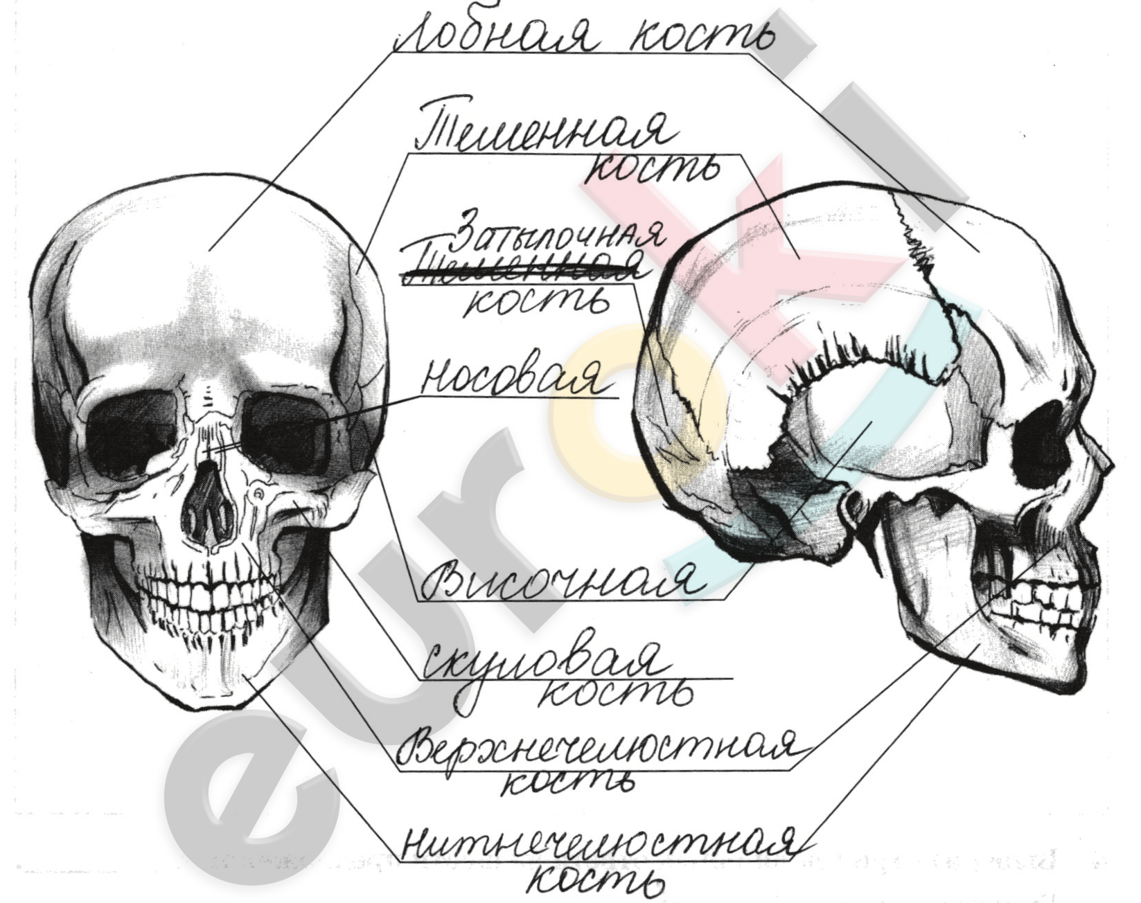 Diagram Description automatically generated