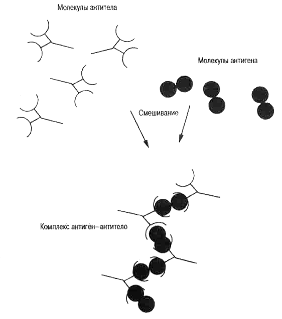 http://www.evolbiol.ru/docs/img/lamarck_files/0306.gif