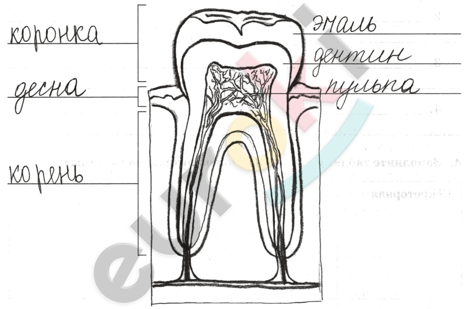 Diagram Description automatically generated