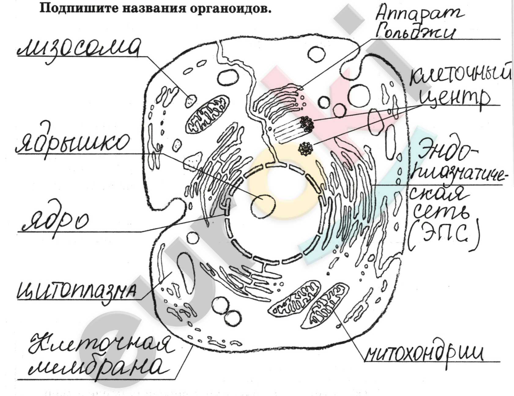 Diagram Description automatically generated