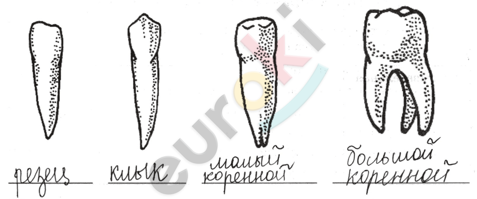 A picture containing diagram Description automatically generated