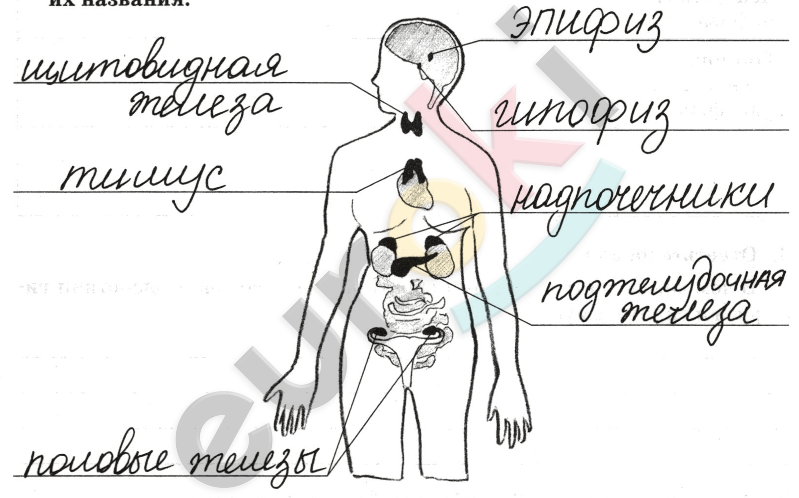 Diagram Description automatically generated