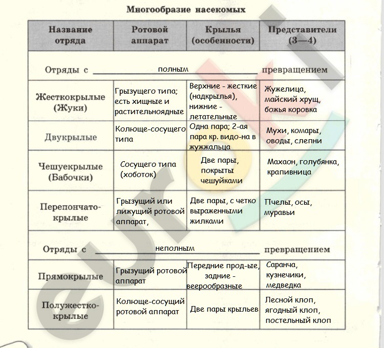 стр 60.jpg