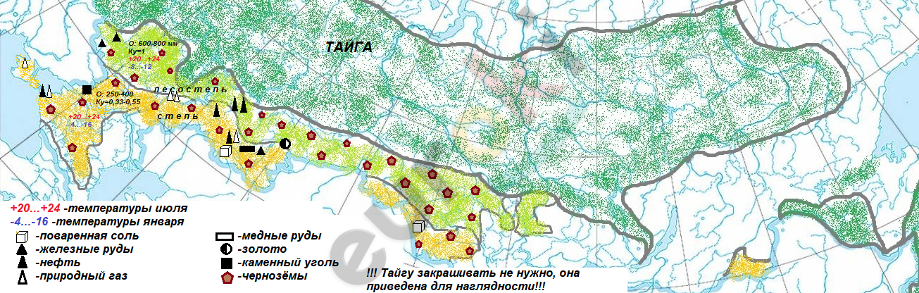 Нанесите на контурную карту лесостепную и степную