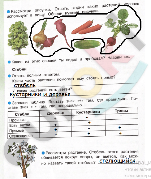 Окружающий 3 класс стр 76