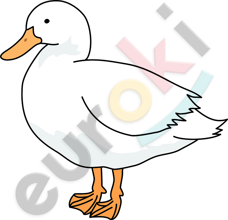 https://creazilla-store.fra1.digitaloceanspaces.com/cliparts/11089/domestic-duck-bird-clipart-md.png