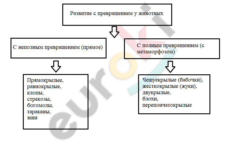 Diagram Description automatically generated