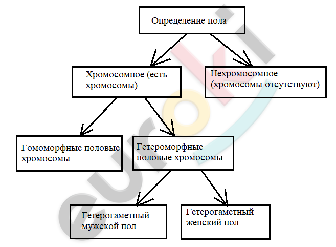 Diagram Description automatically generated