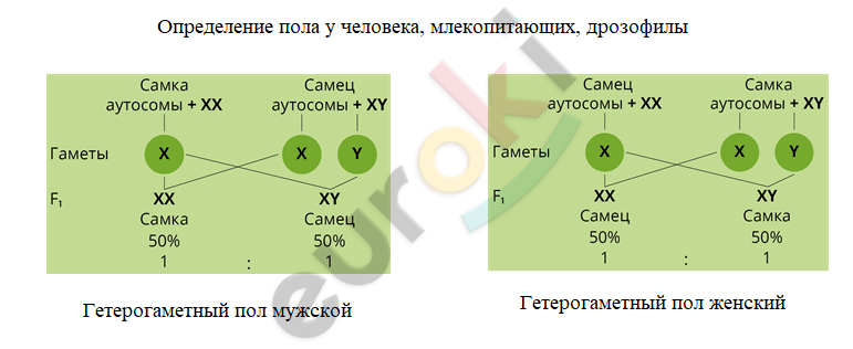 Diagram Description automatically generated