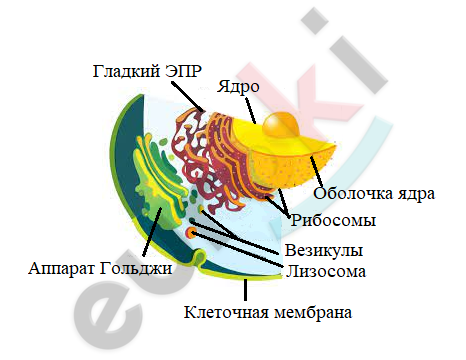 Diagram Description automatically generated