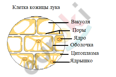 Diagram Description automatically generated