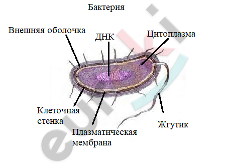 Diagram Description automatically generated