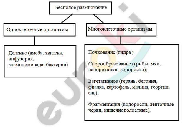 Diagram Description automatically generated