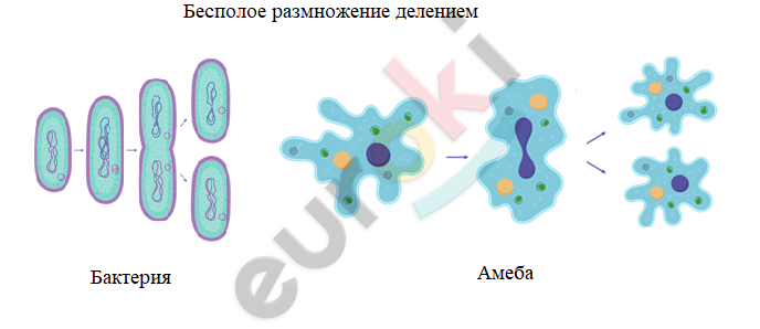 Chart, bubble chart Description automatically generated