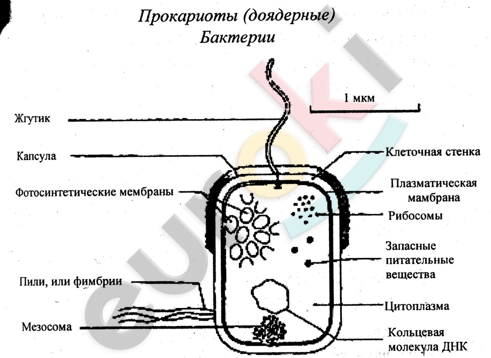 Diagram Description automatically generated