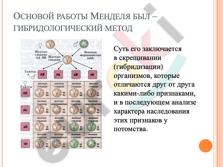 Diagram Description automatically generated