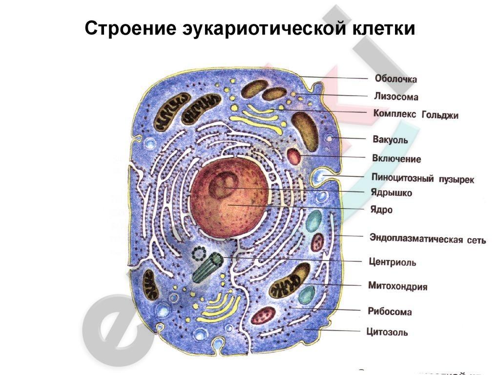 Diagram Description automatically generated