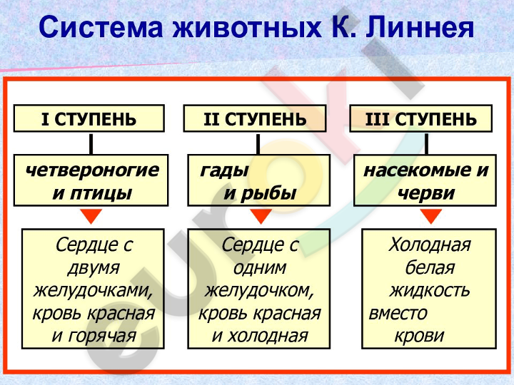 Diagram Description automatically generated