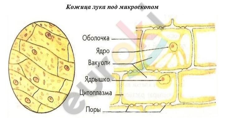 Diagram Description automatically generated