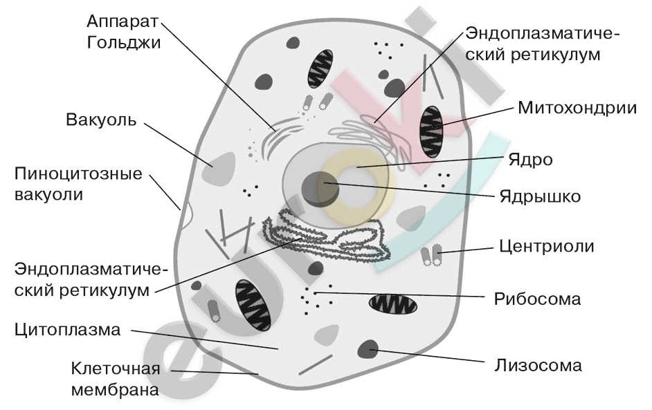 Diagram Description automatically generated