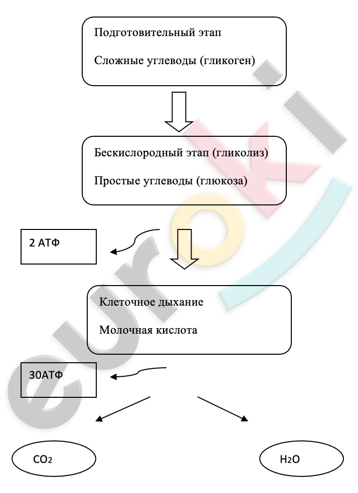 Diagram Description automatically generated