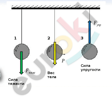 Chart, box and whisker chart Description automatically generated