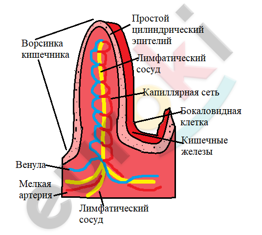 A picture containing text, drawing, sketch, clipart Description automatically generated